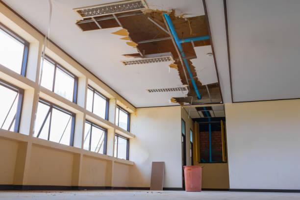 Best 24-hour water damage restoration  in Fort Hunt, VA