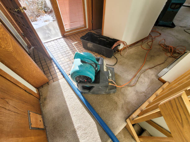 Best Water damage repair service  in Fort Hunt, VA