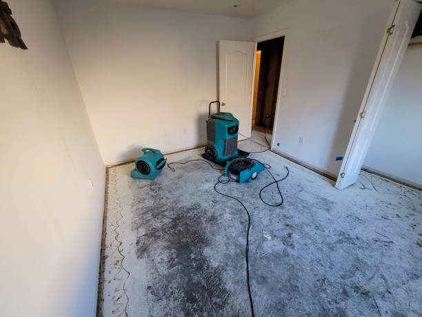 Best Water damage restoration near me  in Fort Hunt, VA