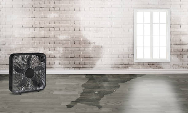 Water damage restoration process in Fort Hunt, VA