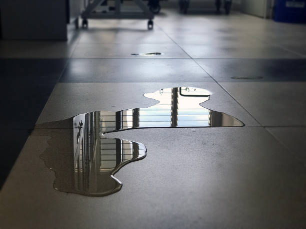 Best Water damage repair service  in Fort Hunt, VA
