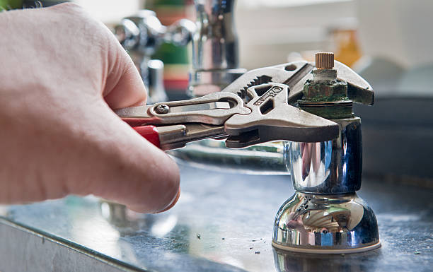 Best Flood restoration services  in Fort Hunt, VA