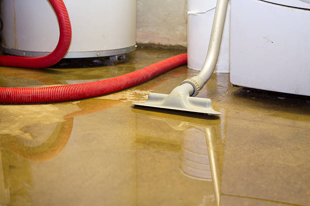 Best Ceiling water damage repair  in Fort Hunt, VA