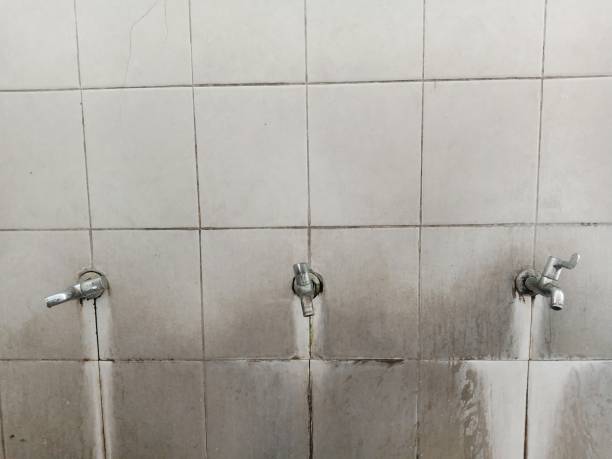 Best Mold removal after water damage  in Fort Hunt, VA