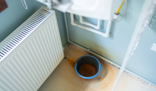 Best Carpet water damage restoration  in Fort Hunt, VA
