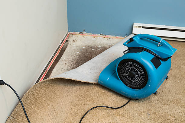  Fort Hunt, VA Water damage restoration Pros